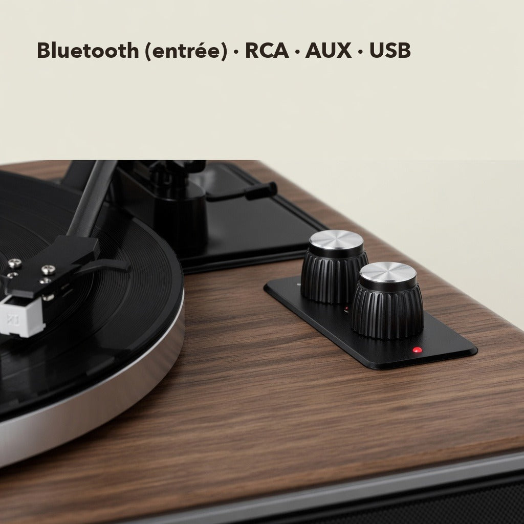 Bluetooth entrée, RCA, AUX, USB
